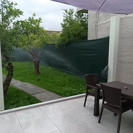 Olgas Cozy Home Chania  Ngoại thất bức ảnh
