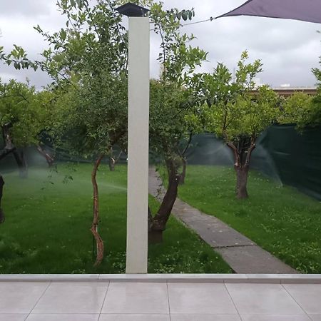 Olgas Cozy Home Chania  Ngoại thất bức ảnh